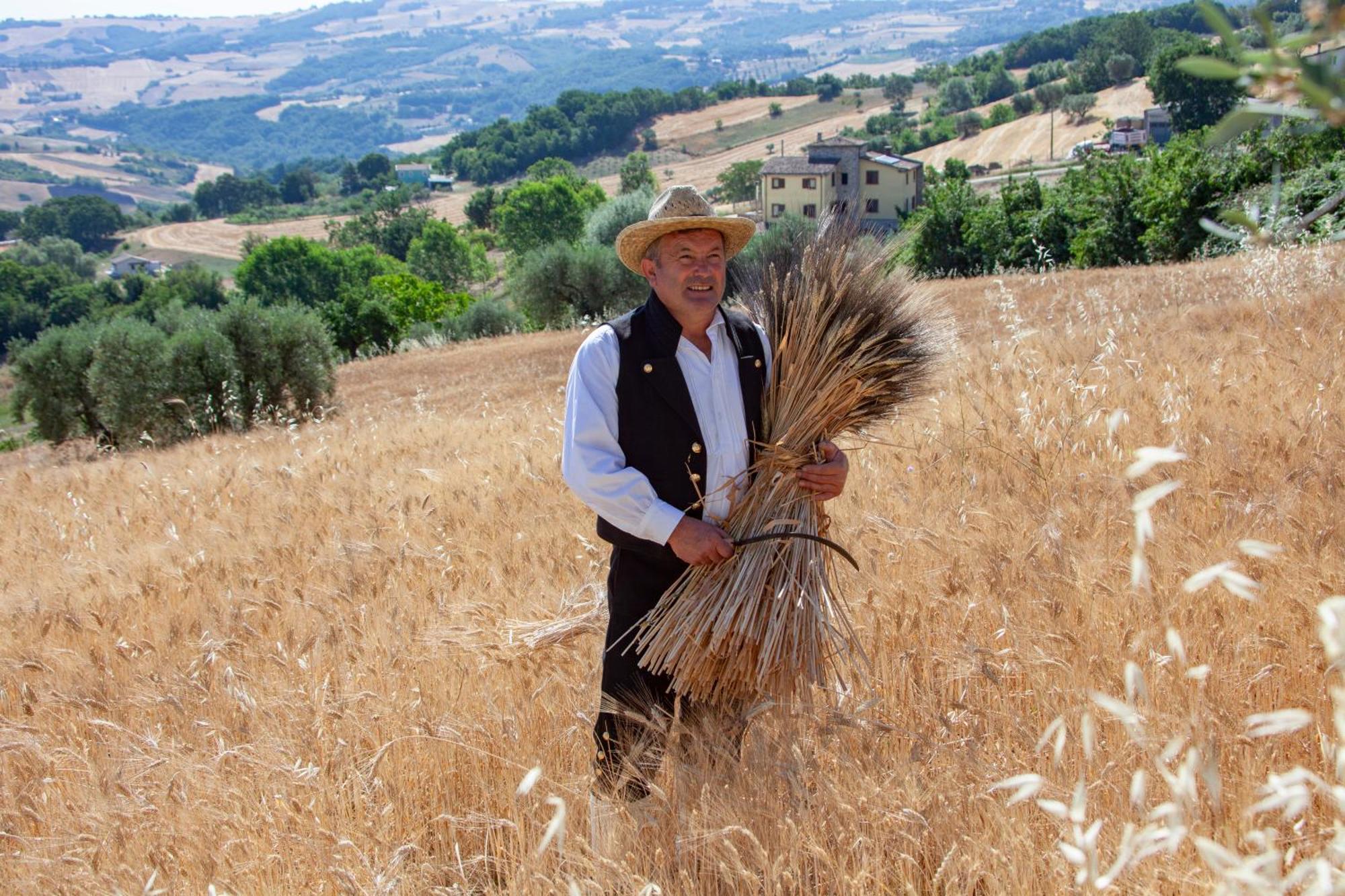 Agriturismo Terra E Sapori Campodipietra Exterior foto